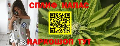 a pvp Славянск-на-Кубани