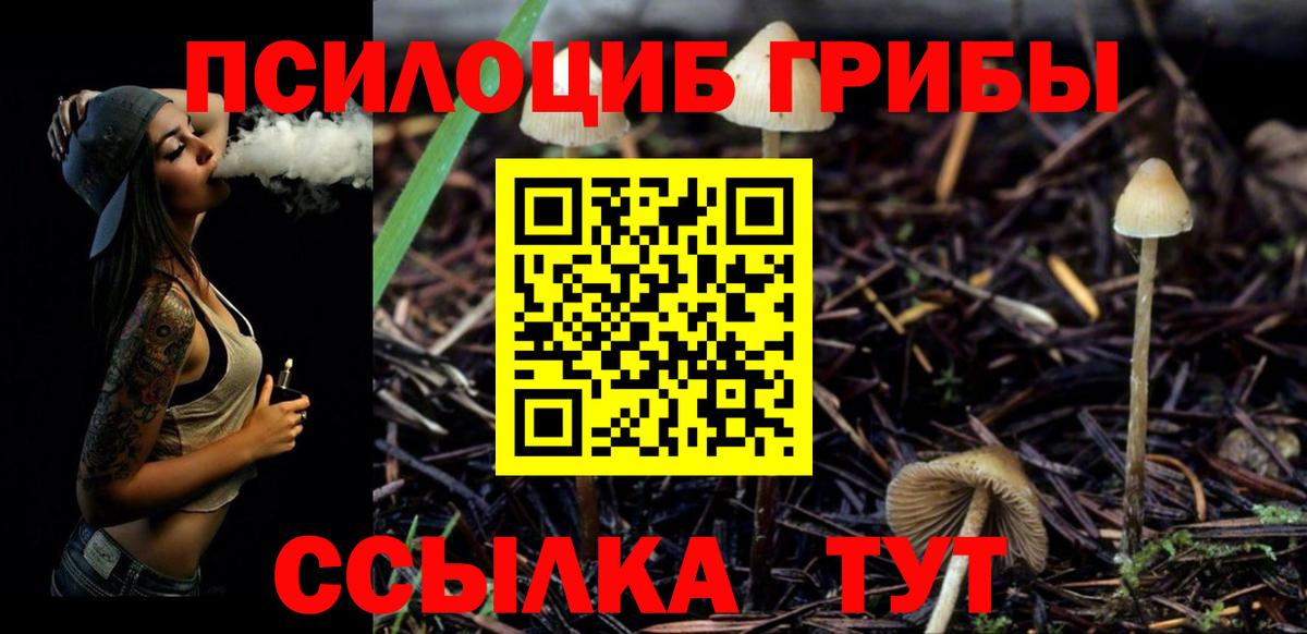 Псилоцибиновые грибы Cubensis  Вход с VPN  Чапаевск 